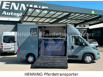 Peugeot Boxer 3-Sitzer *NEUWAGEN* 1000 KG NUTZLAST Peugeot Boxer 3-Sitzer *NEUWAGEN* 1000 KG NUTZLAST: slika 4