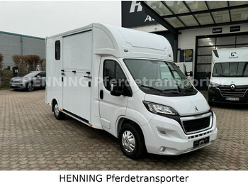 Kamioni za prevoz konja novi Peugeot Boxer *NEUWAGEN* ca. 1.200kg Nutzlast: slika 2