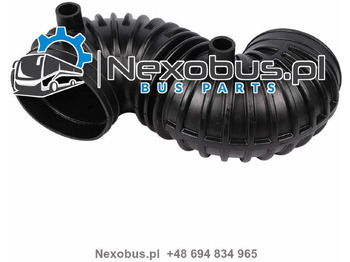 : fotografija u zaglavlju