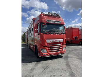Kamion za prevoz stoke DAF XF 460
