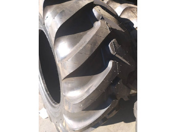 : fotografija u zaglavlju