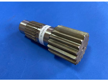 : fotografija u zaglavlju