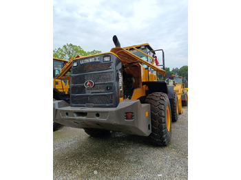 SDLG L 956 F  SDLG L 956 F: slika 4