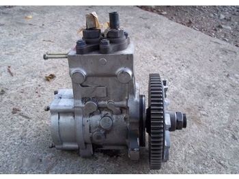 : fotografija u zaglavlju