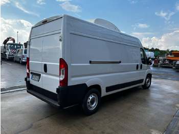 Dostavno vozilo hladnjača Fiat Ducato Isberg Pharma-Kühler -30°C/4°C/22°C: slika 4