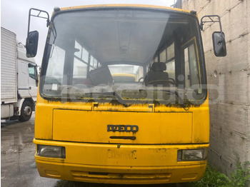 Školski autobus IVECO