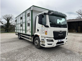 MAN M 90 15.290 TGM MAN M 90 15.290 TGM: slika 2