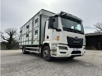 MAN M 90 15.290 TGM MAN M 90 15.290 TGM: slika 4