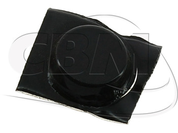 : fotografija u zaglavlju