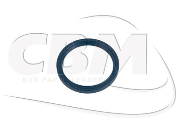 Menjač i delovi IRISBUS