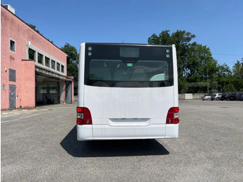 Gradski autobus Man A21: slika 5 Gradski autobus Man A21: slika 5