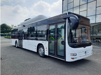 Gradski autobus MAN Lion's City A21