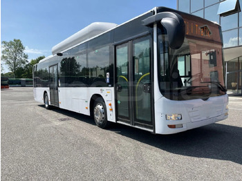 Gradski autobus MAN Lion's City A21