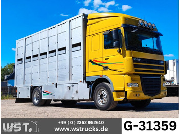 Kamioni za prevoz konja DAF XF