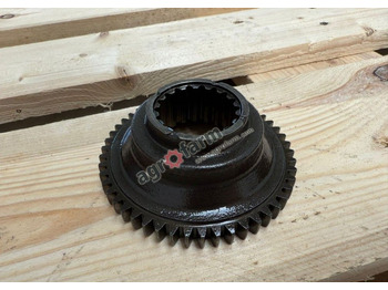 : fotografija u zaglavlju