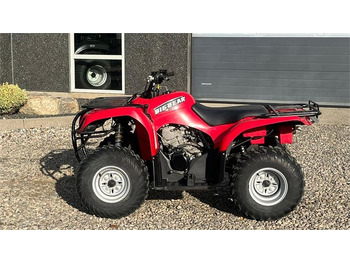 Yamaha Big bear 250  Yamaha Big bear 250: slika 5