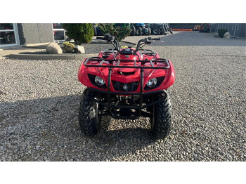 Yamaha Big bear 250  Yamaha Big bear 250: slika 4