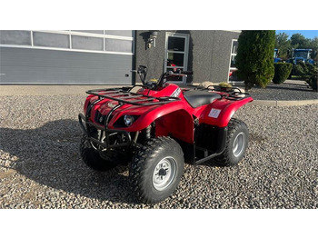 Yamaha Big bear 250  Yamaha Big bear 250: slika 2
