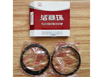 Qingdao Promising Piston Ring for CHANGCHAI CZ2102 ENGINE Qingdao Promising Piston Ring for CHANGCHAI CZ2102 ENGINE: slika 1
