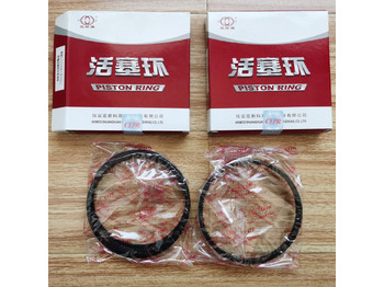 Qingdao Promising Piston Ring for CHANGCHAI CZ2102 ENGINE Qingdao Promising Piston Ring for CHANGCHAI CZ2102 ENGINE: slika 2