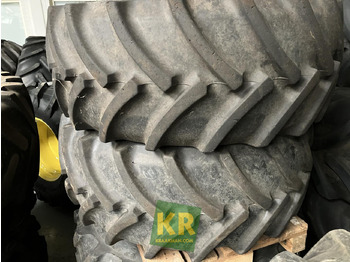 : fotografija u zaglavlju