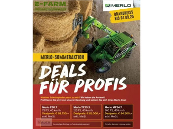 Teleskopski upravljač MERLO