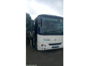 Minibus IVECO