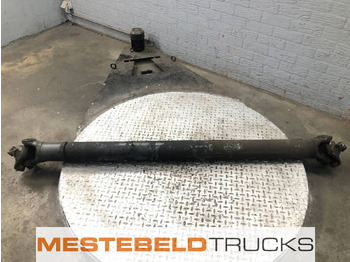 : fotografija u zaglavlju