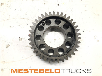 : fotografija u zaglavlju