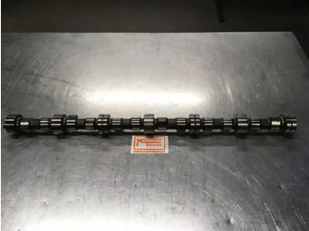 : fotografija u zaglavlju