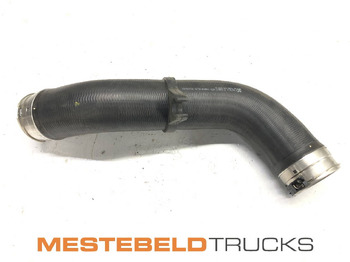 : fotografija u zaglavlju