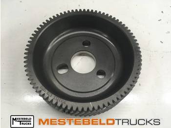 : fotografija u zaglavlju