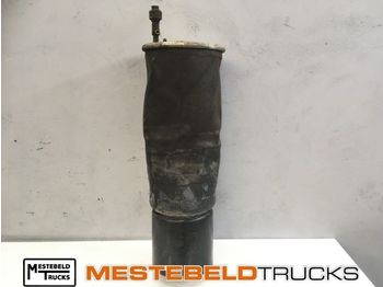 Ram/ Šasija SCANIA