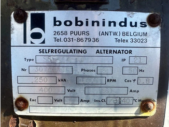 Set generatora Cummins NTA 855 G Bobinindus 250 kVA generatorset: slika 3