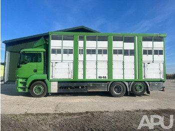 MAN TGS 26.440 DO PRZEWOZU BYDŁA MAN TGS 26.440 DO PRZEWOZU BYDŁA: slika 2