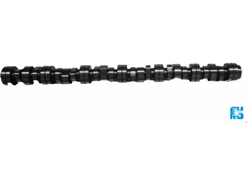 Bregasta osovina