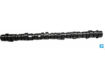 Bregasta osovina