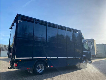 Kamion za prevoz stoke DAF LF 280: slika 3