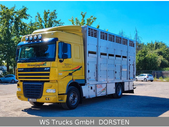 Kamion za prevoz stoke DAF XF