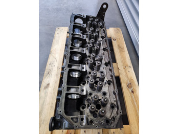 Cilindar blok za Kamion Iveco STRALIS 460 480 Cursor 11 E6 F3GFE611: slika 5