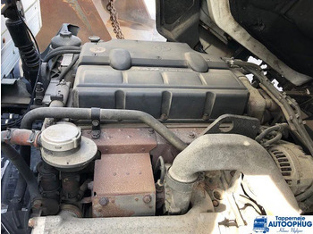 : fotografija u zaglavlju