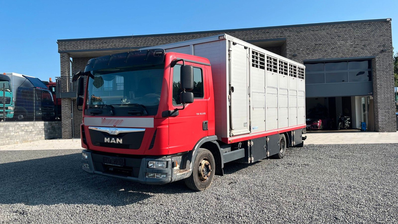MAN TGL 10.220 Viehtransporter Rampe Trennwände - Kamioni za prevoz konja: slika 2 MAN TGL 10.220 Viehtransporter Rampe Trennwände - Kamioni za prevoz konja: slika 2