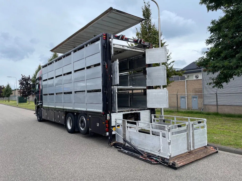 DAF XF 460 2017 berdex 3 lagen varkens - Kamion za prevoz stoke: slika 4 DAF XF 460 2017 berdex 3 lagen varkens - Kamion za prevoz stoke: slika 4