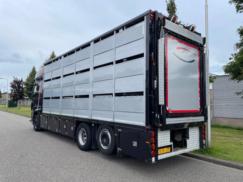 DAF XF 460 2017 berdex 3 lagen varkens - Kamion za prevoz stoke: slika 2 DAF XF 460 2017 berdex 3 lagen varkens - Kamion za prevoz stoke: slika 2