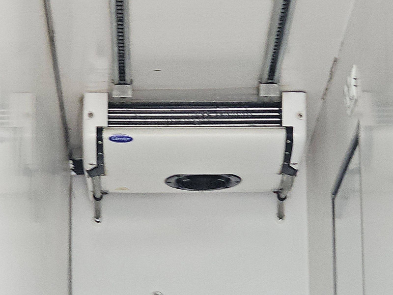 DAF CF 220 CARRIER LIFT DOORS DAF CF 220 CARRIER LIFT DOORS: slika 17