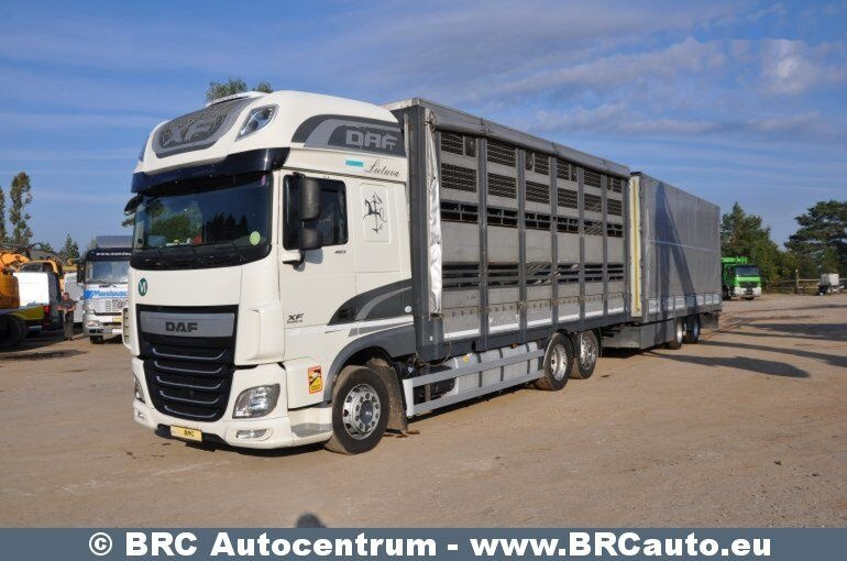 DAF DAF XF XF - Kamion sa ceradom: slika 1 DAF DAF XF XF - Kamion sa ceradom: slika 1