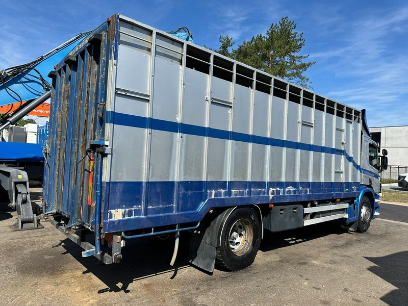 Scania P310 4x2 LIVESTOCK / VEEWAGEN / TIERTRANSPORT / BETAILLERE - ALU BOX 7m - MANUAL - A/C - BELGIAN TRUCK - Kamion za prevoz stoke: slika 5 Scania P310 4x2 LIVESTOCK / VEEWAGEN / TIERTRANSPORT / BETAILLERE - ALU BOX 7m - MANUAL - A/C - BELGIAN TRUCK - Kamion za prevoz stoke: slika 5