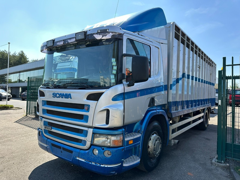 Scania P310 4x2 LIVESTOCK / VEEWAGEN / TIERTRANSPORT / BETAILLERE - ALU BOX 7m - MANUAL - A/C - BELGIAN TRUCK - Kamion za prevoz stoke: slika 3 Scania P310 4x2 LIVESTOCK / VEEWAGEN / TIERTRANSPORT / BETAILLERE - ALU BOX 7m - MANUAL - A/C - BELGIAN TRUCK - Kamion za prevoz stoke: slika 3