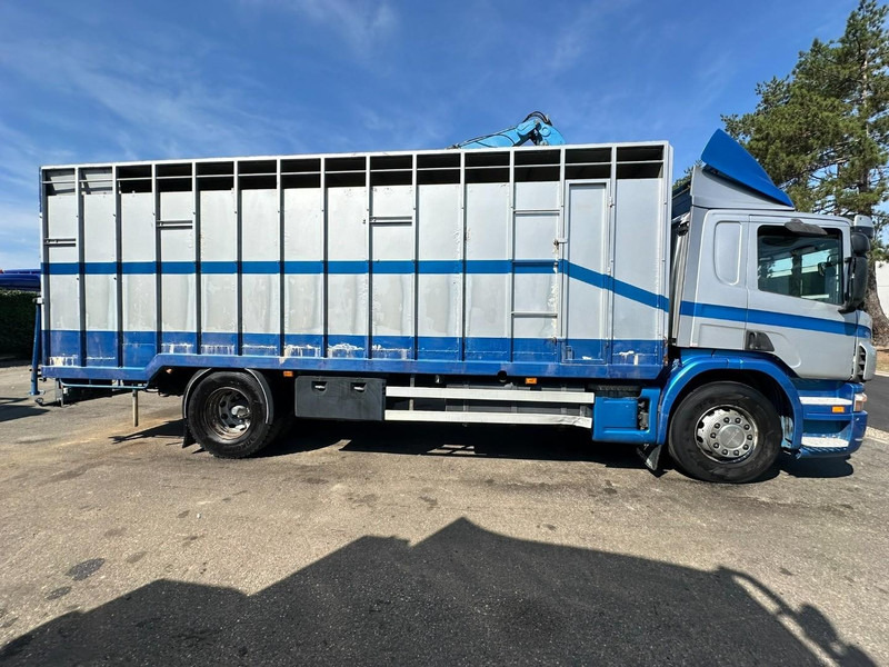 Scania P310 4x2 LIVESTOCK / VEEWAGEN / TIERTRANSPORT / BETAILLERE - ALU BOX 7m - MANUAL - A/C - BELGIAN TRUCK - Kamion za prevoz stoke: slika 4 Scania P310 4x2 LIVESTOCK / VEEWAGEN / TIERTRANSPORT / BETAILLERE - ALU BOX 7m - MANUAL - A/C - BELGIAN TRUCK - Kamion za prevoz stoke: slika 4