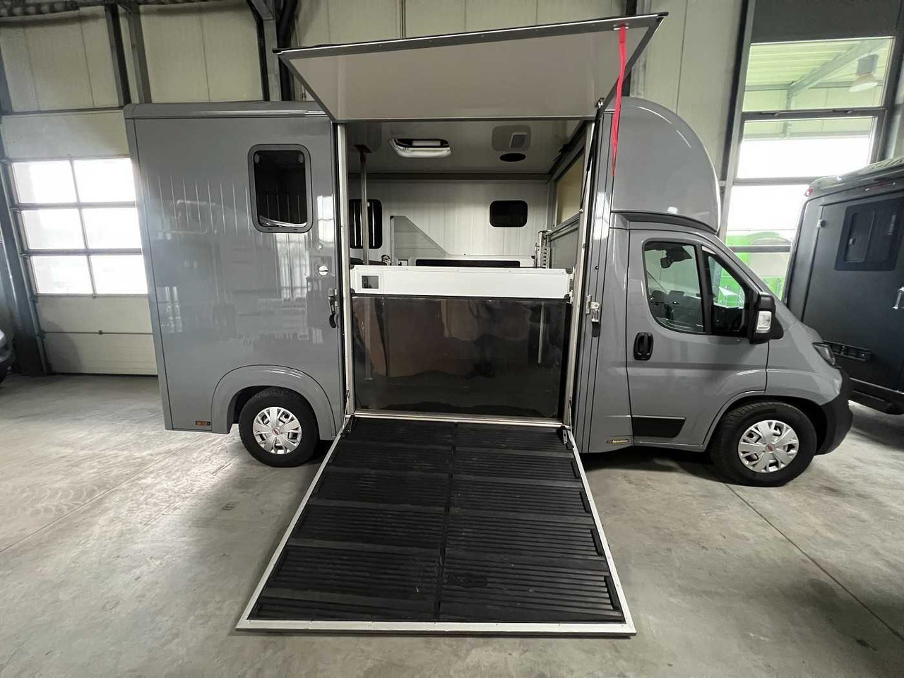 Fiat Compact Basic LKW - Kamioni za prevoz konja: slika 1 Fiat Compact Basic LKW - Kamioni za prevoz konja: slika 1